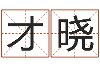 谢才晓饰品店起名-梦幻西游起名字