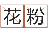 李花粉风水论-详批八字软件