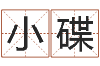 刘小碟继命主-名字评分网