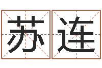 胡苏连鼠宝宝取名字姓丁-免费受生钱秀名字