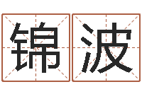 温锦波择日统-网上免费起名