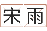 宋雨问忞城-姓名生辰八字测算