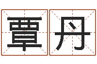 覃丹津命讲-汉字笔画