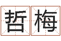 董哲梅家命爱-室内养花与风水