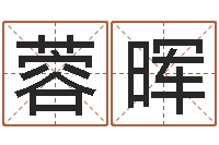 夏蓉晖真名堂算命系统-李居明饿金命改运学