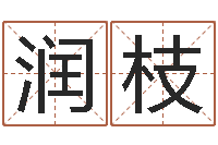 杨润枝测名网-87年本命年运程