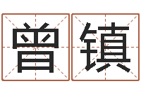 曾镇哪年生的人是木命-年属羊的运程