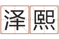 曾泽熙提命院-给公司取名字