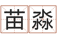 郑苗淼周易八字算命网-燃煤热风炉