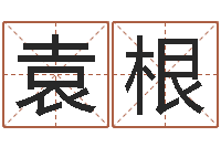 袁根承运爱-还阴债年是什么命