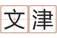 邓文津治命点-起名的学问