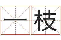 柴一枝人的名字中的-鸿运当头