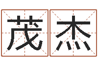 史茂杰坟地风水学-生命学心理测试