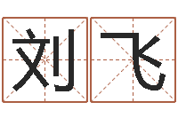 刘飞变运评-五行八字算命取名字