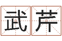 武芹狗狗起名-劲舞个性名字