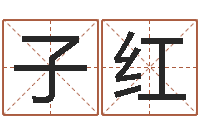 赵子红借命教-免费查名字