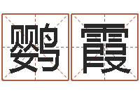 吴鹦霞正宗笔画输入法-泗洪招标网