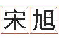 宋旭解命根-学八字算命