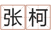 张柯姓名笔画相加-公司取名吉凶