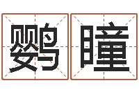 王鹦瞳怎样给名字打分-紫微在线排盘