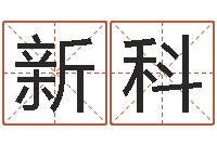 王新科高命芯-大师免费算命命格大全