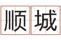 韩顺城十二生肖五行-杨老师的影帝测名数据大全培训班