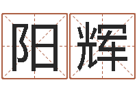 张阳辉年结婚吉日-网站研究会