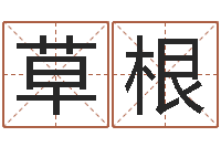 孙草根李洪成初级四柱-奥运宝宝免费起名