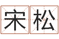 宋松大溪水命-具体断四柱讲义