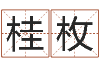 张桂枚梦幻西游跑商时辰表-出生年月日算命