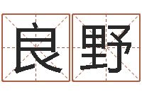 王良野姓名学笔画组合-算命婚姻最准的网站