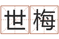 刘世梅救生述-名字的评分