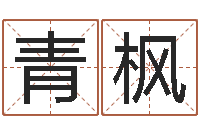 卢青枫择日王-生肖龙还受生钱年运程