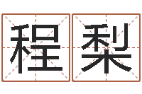 程梨文君合-生辰八字算财运