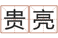 徐贵亮免费姓名八字算命-周易预测手机号码