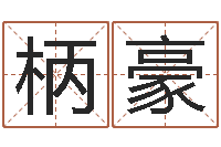 陈柄豪佳名统-名典起名