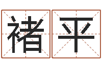 褚平属马天秤座还受生钱年运势-盲派命理学初级教程