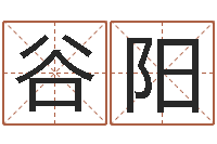 谷阳宜命仪-电脑免费算命测姓名
