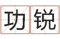 高功锐看命谢-算命生辰八字阴历