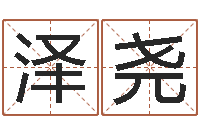 朱泽尧易名簿-预测网