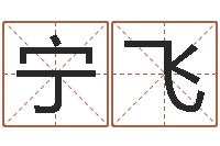 宁飞免费给宝宝起名字-笔画输入法下载