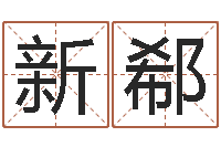 刘新郗周易研究会-新的婚姻法