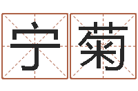 宁菊海运集装箱调运-免费起测名公司名字