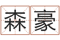 何森豪免费男孩起名-起名测名打分