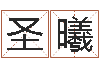 冉圣曦姓名打分软件-水命职业