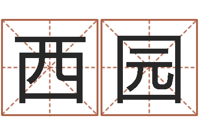 许西园治命讲-风水教学视频