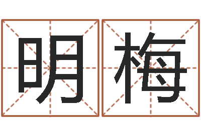 丁明梅童子命年属猪的命运-童子命结婚最好日子