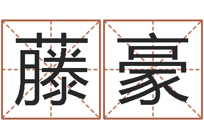 董藤豪变运苗-合婚网站