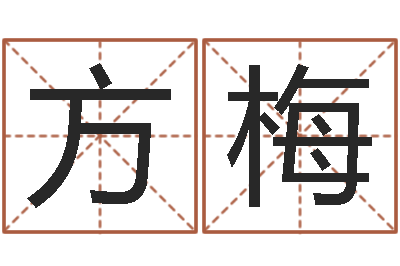 何方梅问命视-八字取名