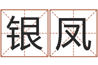 杨银凤问名合-查名字打分